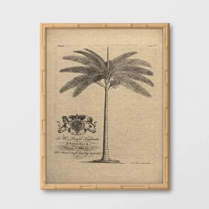 bambu natural lino palmera claro